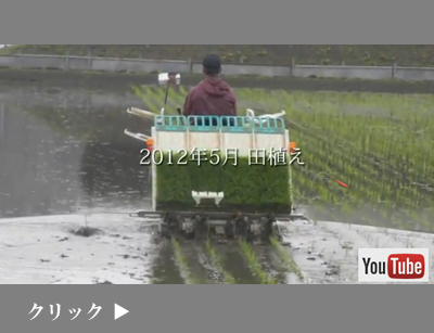 田植え動画